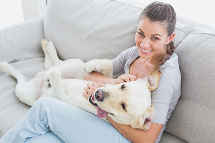 女性の膝の上に寝転ぶ犬