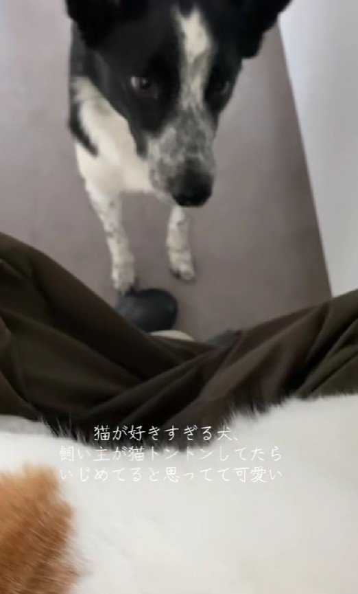 「痛くない？大丈夫？」