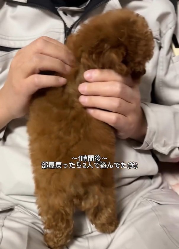 ベベさんと遊ぶお父さん