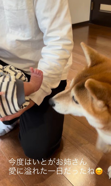 いとちゃんの成長記録9