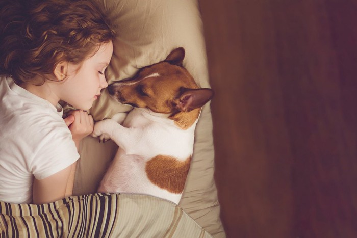 子どもと犬