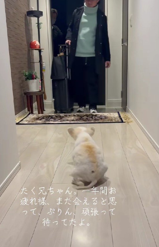 近くに行きたい…