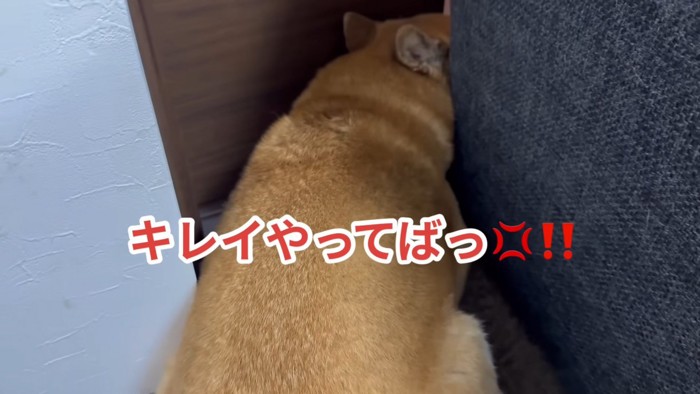 パパに大反発！！