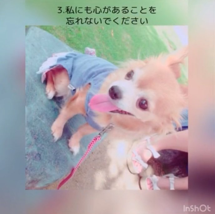 笑顔で振り向く