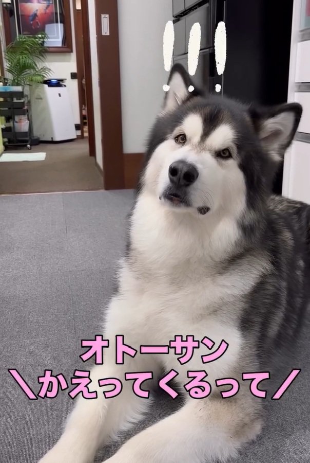 話を聞くシンバくん