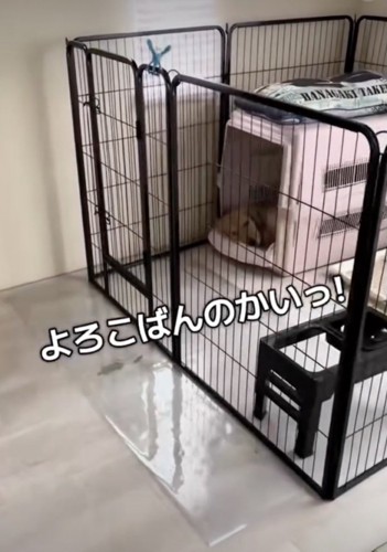 ママ帰ってきたよ！！