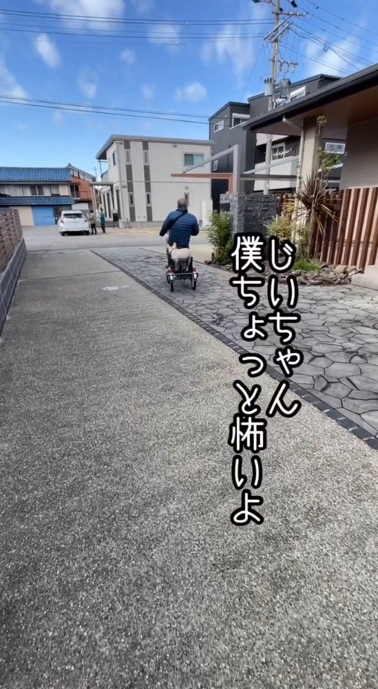 年配男性が漕ぐ電動式三輪車のカゴに乗る犬