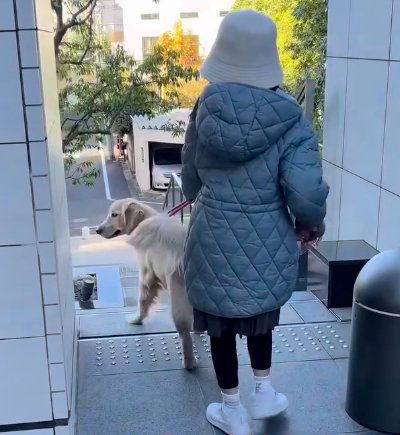 階段前で立ち止まる子供と大型犬