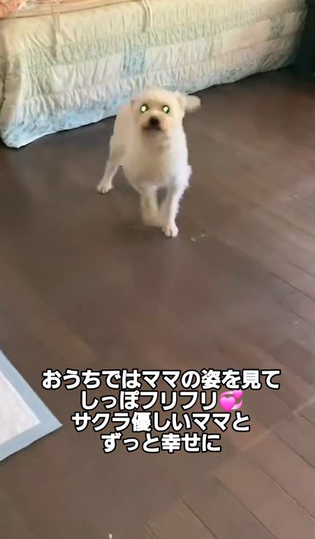 家族の帰宅に大喜び♡