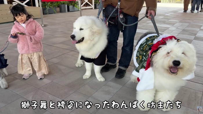 4頭飼いの日常に密着したら…