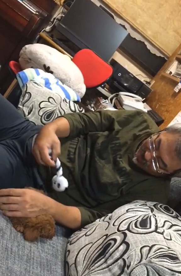 パパとムギちゃん