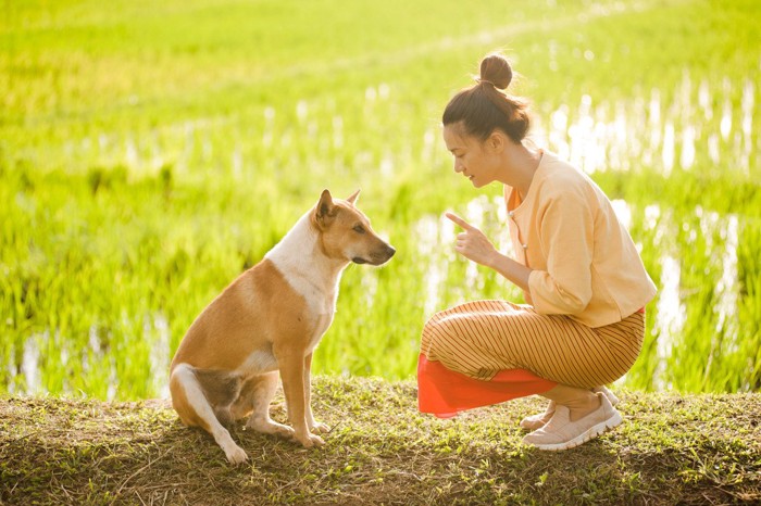 しゃがんで犬に伝える女性