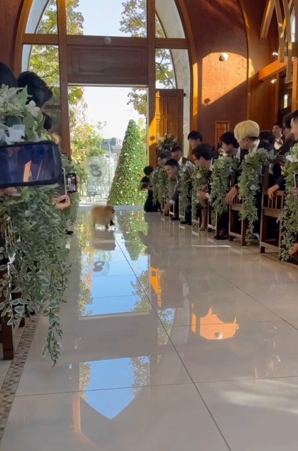 笑顔を振りまくチャックくん