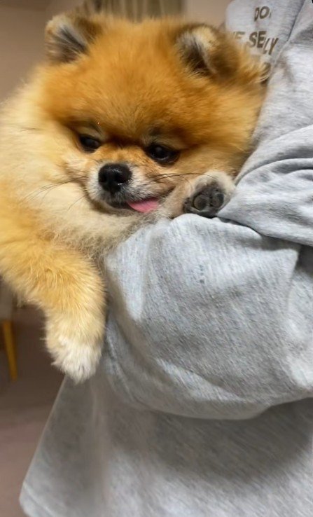 抱っこしてもらえて満足げなお顔