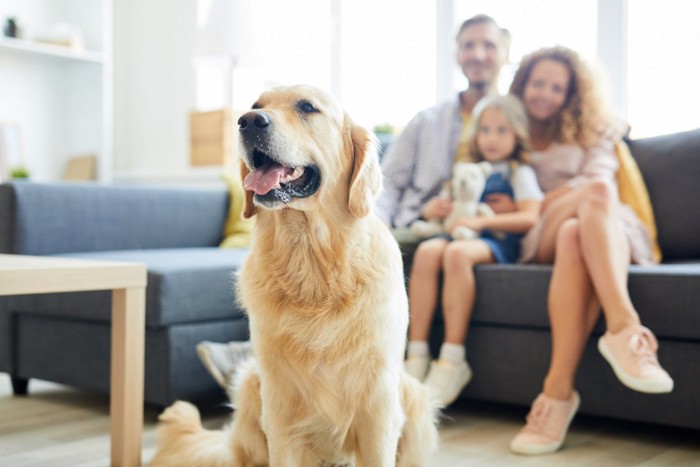 家族を背景にする犬