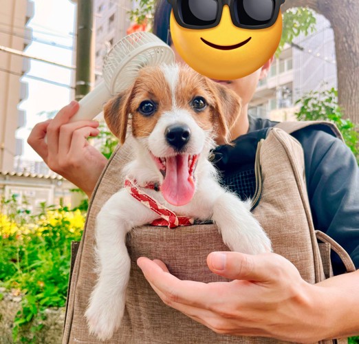日々成長