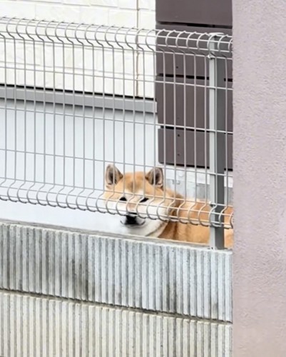 自分の時間、たいせつ!