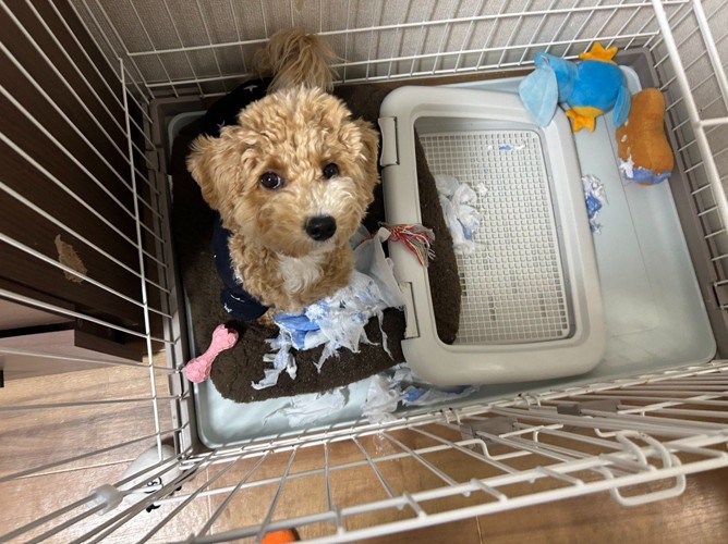 成長中のたむ君3