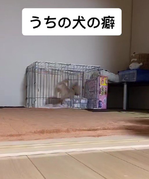 現実逃避かな？