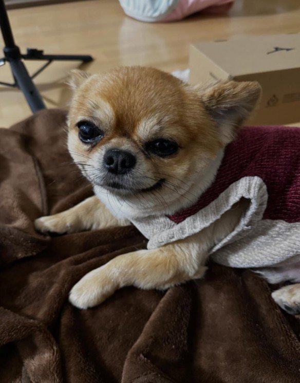 「涼しいからいいか」