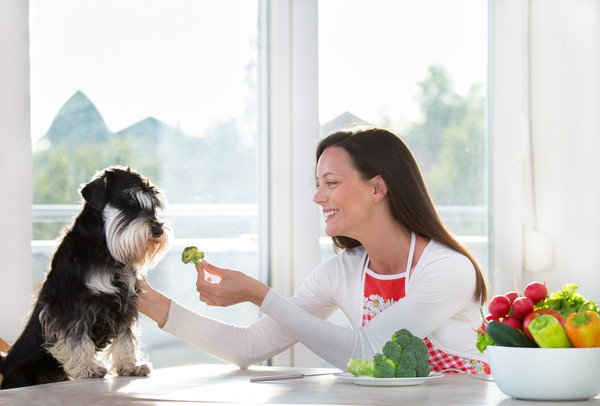 犬に野菜を与えている飼い主