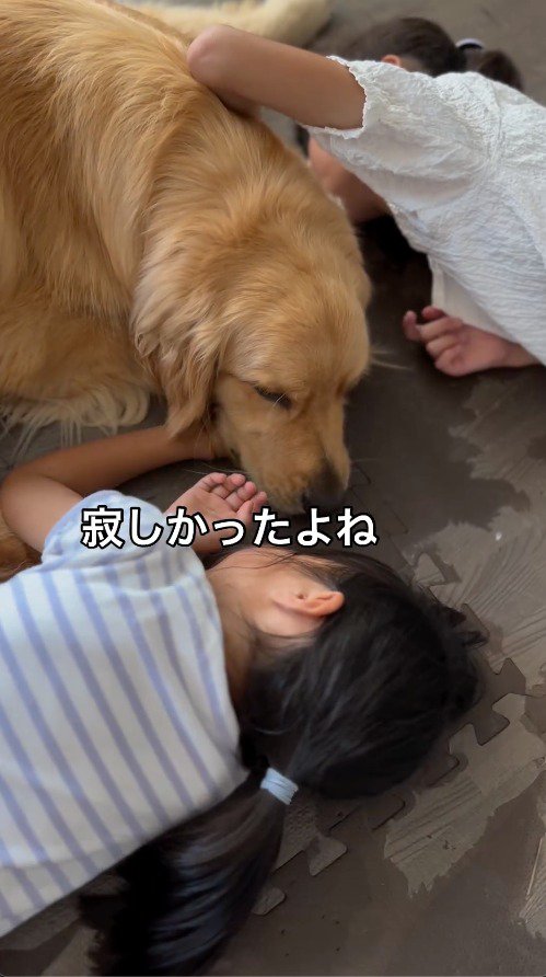 2人の女の子に撫でられる犬