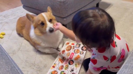 いなり君に読み聞かせをする女の子5