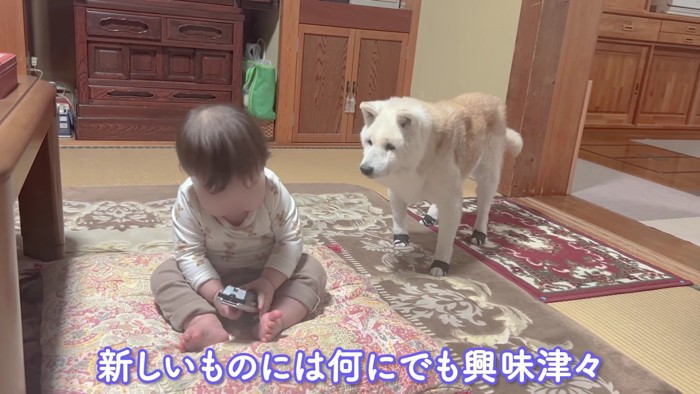 なんだかソワソワ