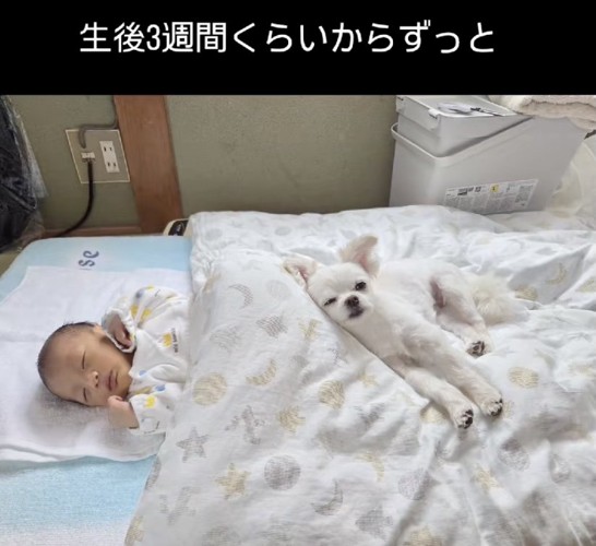 ずっと一緒にいます