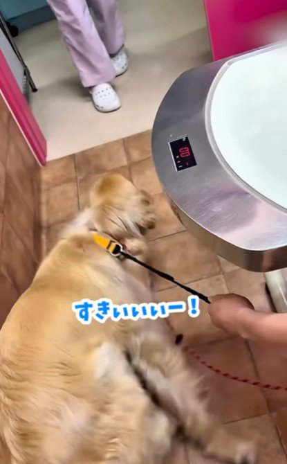 圧倒的陽キャ…！