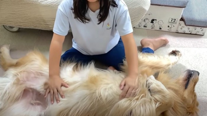 犬のお腹を撫でる少女