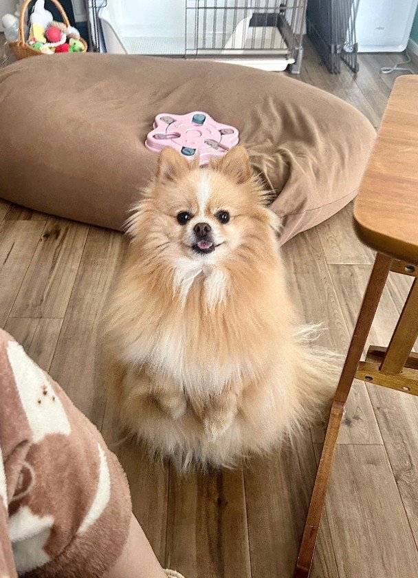 「ヒマそうだね？遊ぼう♪」