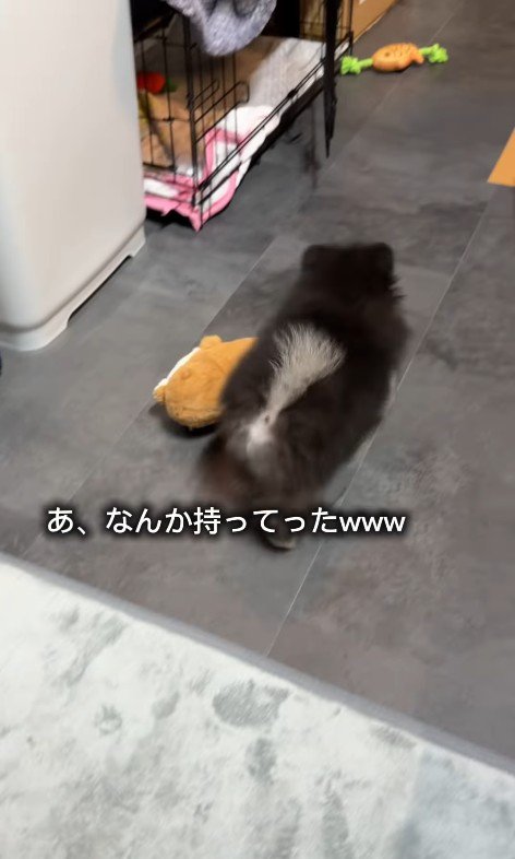 お友達を連れて行くことに