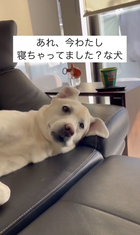 体勢変更