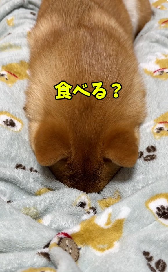 魔法の言葉を言うママ