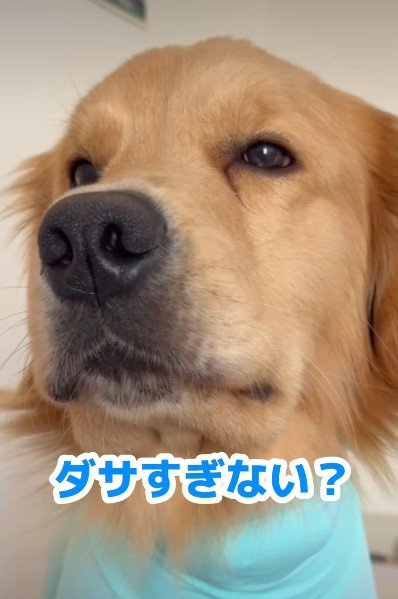 素直すぎる姿にホッコリ
