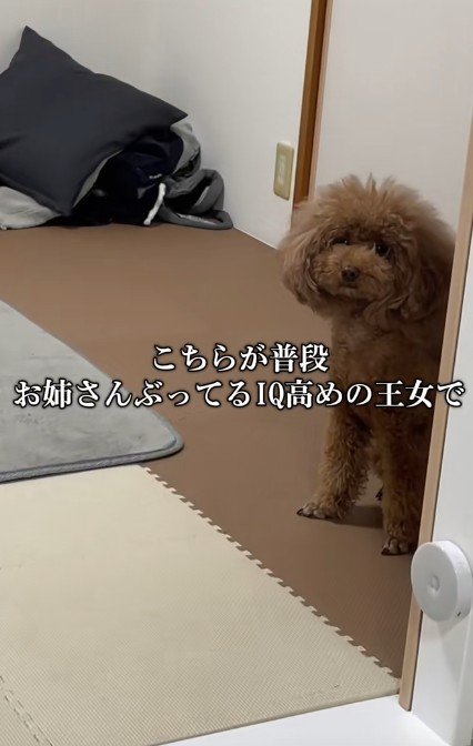 女王様気質のららちゃん