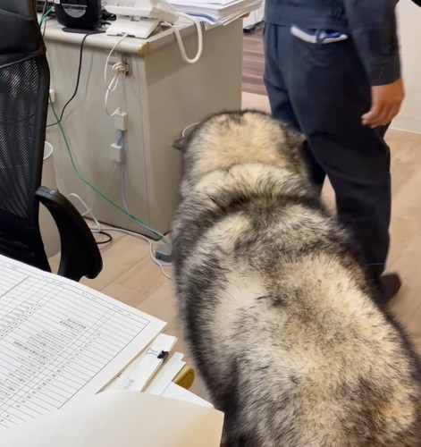 立ち去る従業員さんを…