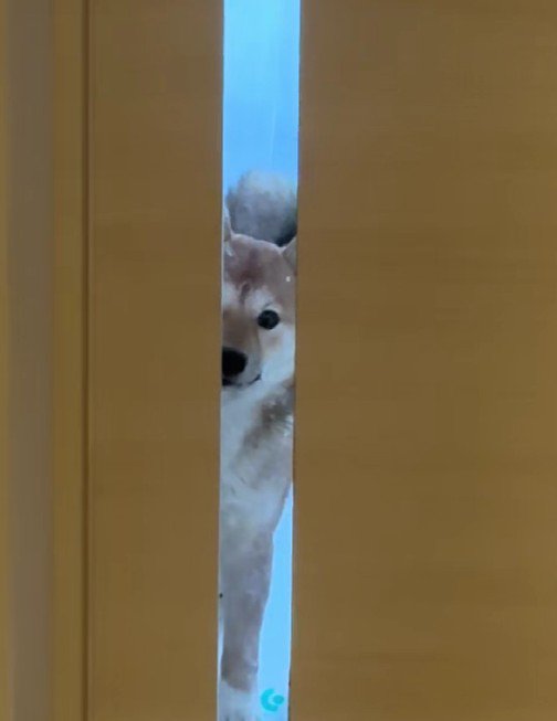 「もう行っちゃうの?」