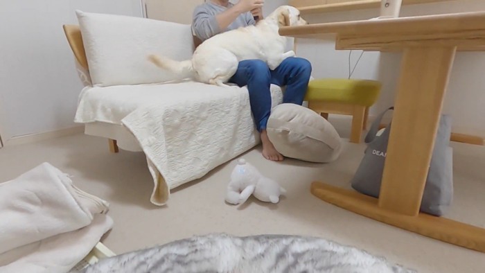 無視してパパさんに甘え始めました!