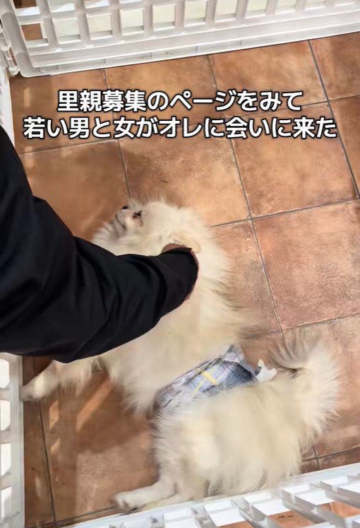 木ノ葉丸くんとの出会い3