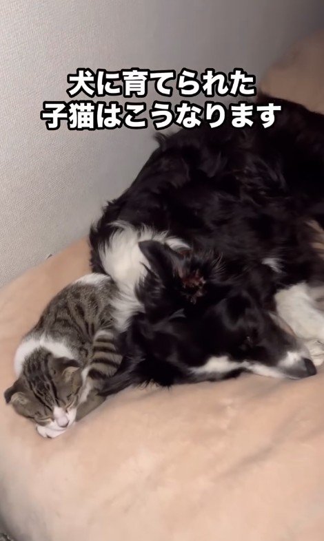 幸せそうな寝顔