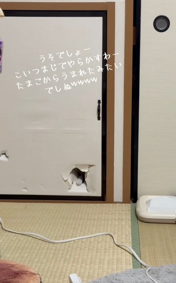 手が見えている凛くん
