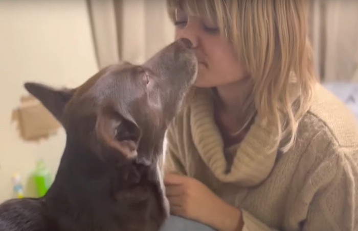 人の顔を舐める犬