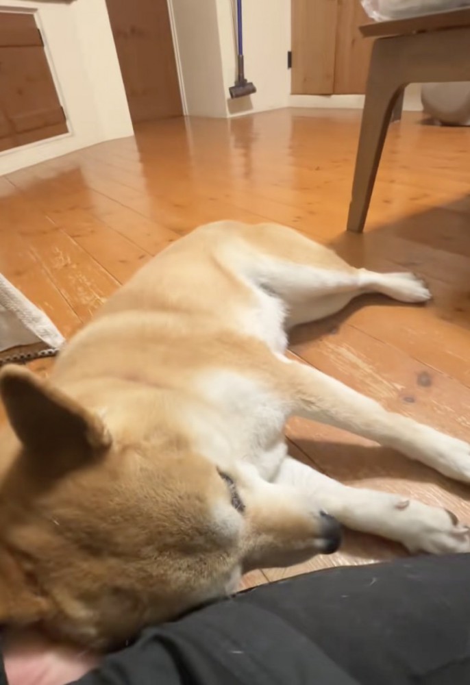 ゴロンッ