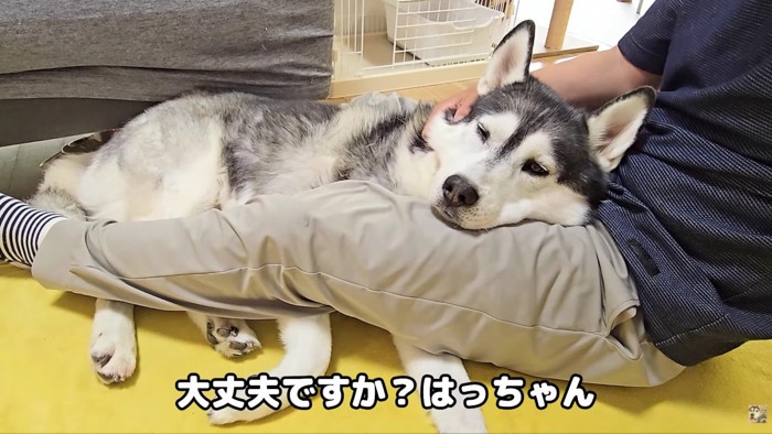 落ち着いた表情に…