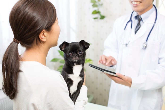 病院に犬を連れて行く