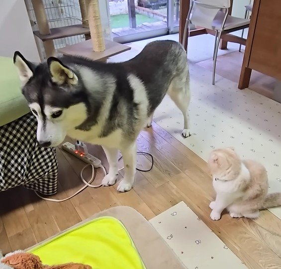 微笑ましい一幕でした