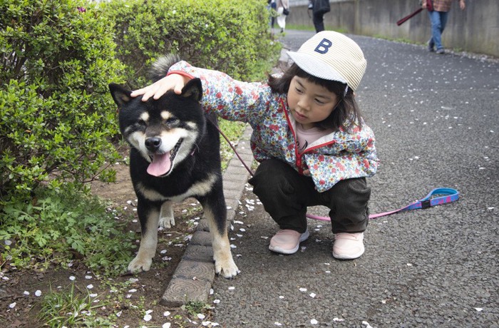 しゃがんで犬を撫でる子供