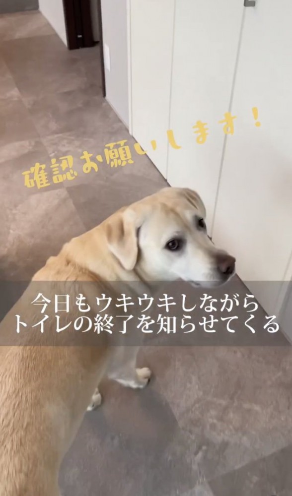 ウッキウキ
